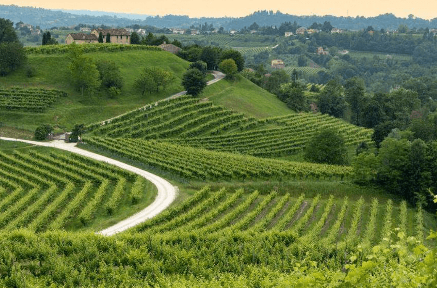 Veneto con bambini: cosa fare in famiglia tra natura e divertimento