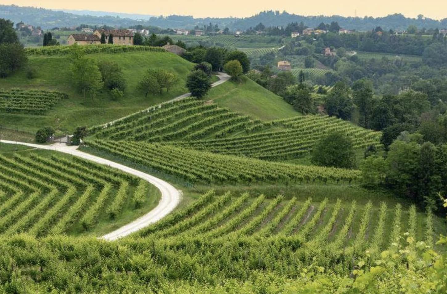 Veneto con bambini: cosa fare in famiglia tra natura e divertimento