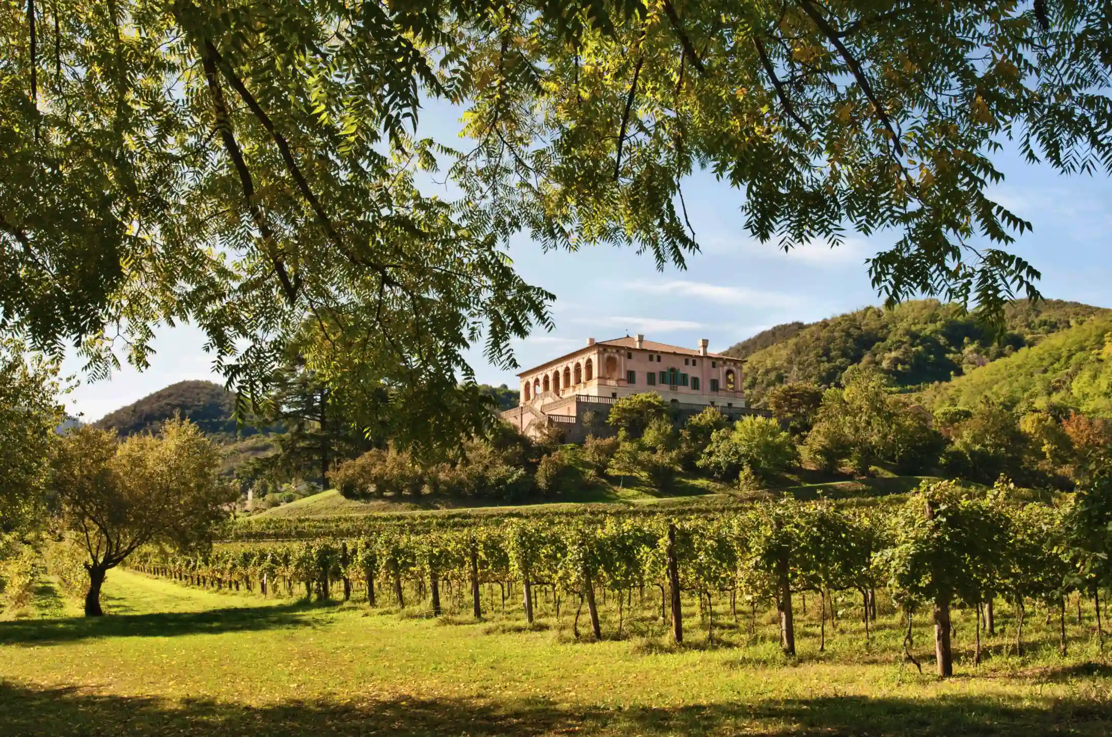 Villa con piscina in Veneto: relax tra Colli Euganei e città d'arte