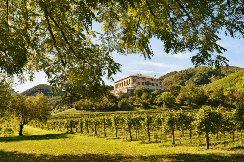 Villa dei Vescovi (Luvigliano di Torreglia)